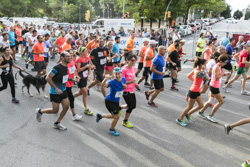 Diumenge de Festa Major: cursa popular i infantil i la mitja marató 